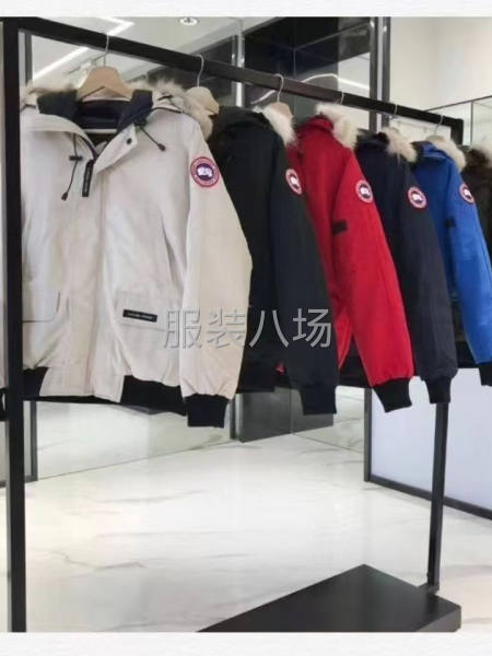 大鵝羽絨服出售-第1張圖片