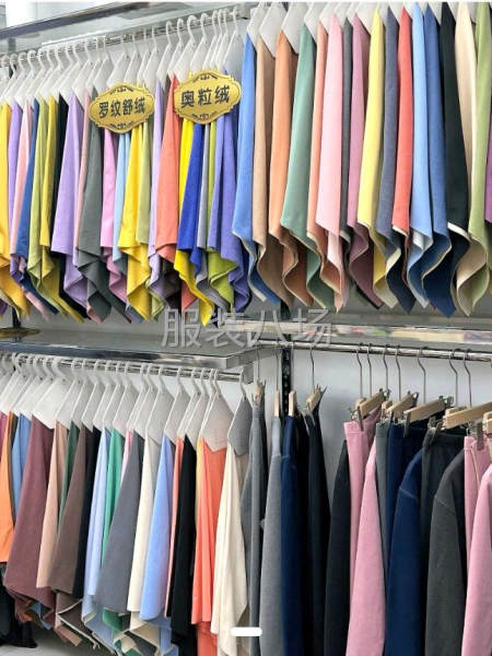 德絨系列 羅馬布 哥弟紋 銀狐絨 奧粒絨 牛奶絲源頭工廠直供-第1張圖片