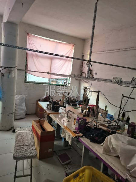 多干多的，保證讓你掙到高工資-第2張圖片