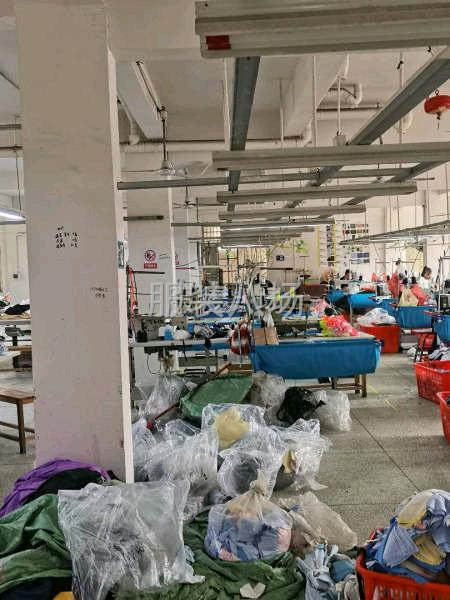 專業褲子襯衣外套-第2張圖片