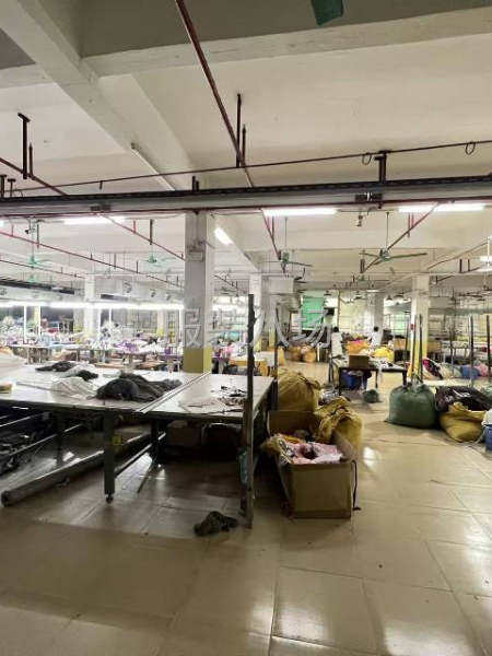 塘步東工業(yè)區(qū)1100廠房出租-第2張圖片