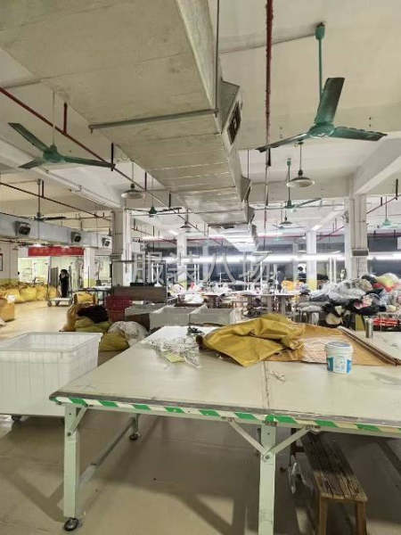 塘步東工業(yè)區(qū)1100廠房出租-第4張圖片