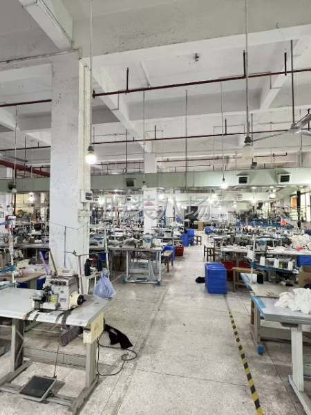 塘步東一樓1250方廠房出租-第4張圖片