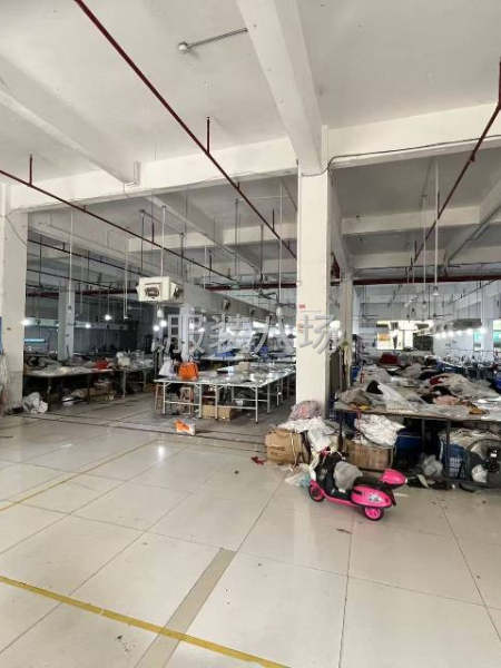 塘步東一樓1250方廠房出租-第5張圖片