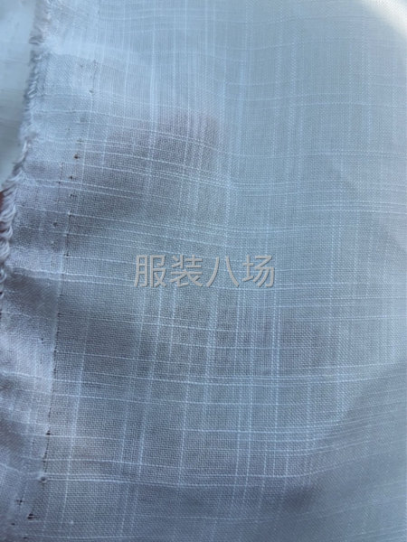 本白底布 竹節(jié)仿麻-第5張圖片