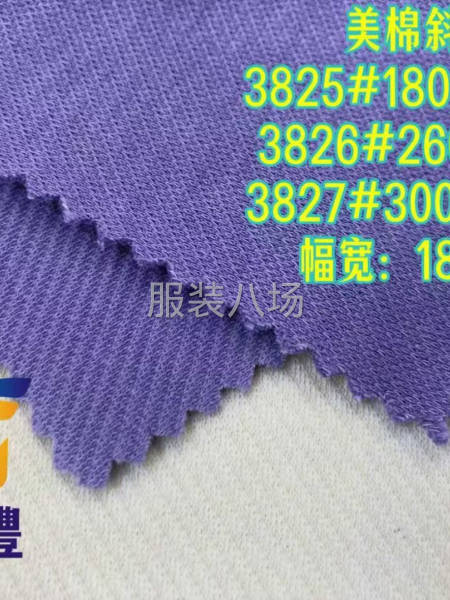 廣志豐3825#美棉斜紋180/260/300克斜紋肌理雙面-第2張圖片