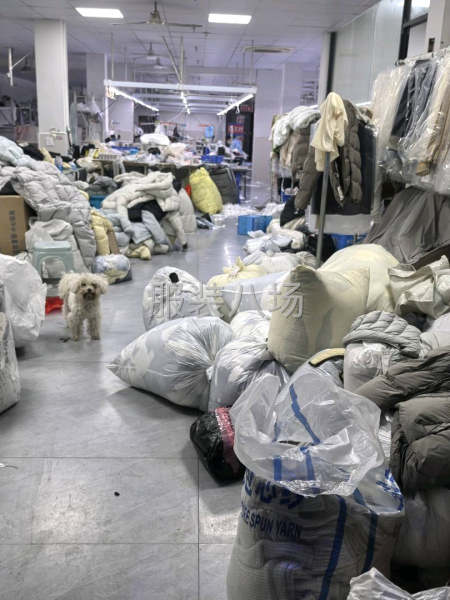 本厂扩大规模生产中，找杭州市场，直播客户，-第1张图片