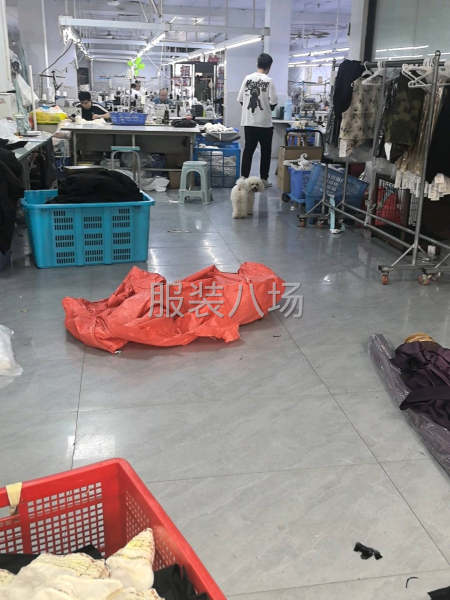 本厂扩大规模生产中，找杭州市场，直播客户，-第2张图片