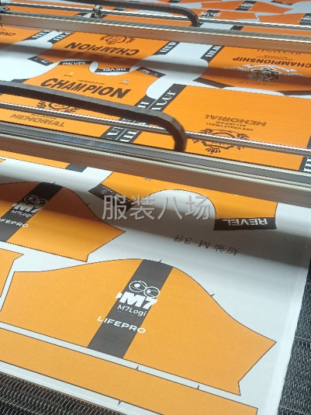 承接裁剪大小订单，大视角激光定位切割，普通切割-第2张图片