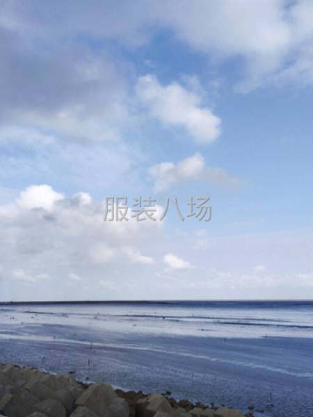 公司網店貨-第1張圖片