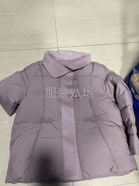 招女裝羽絨服加工廠-第1張圖片