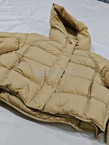 20-50人加工廠承接訂單-第1張圖片