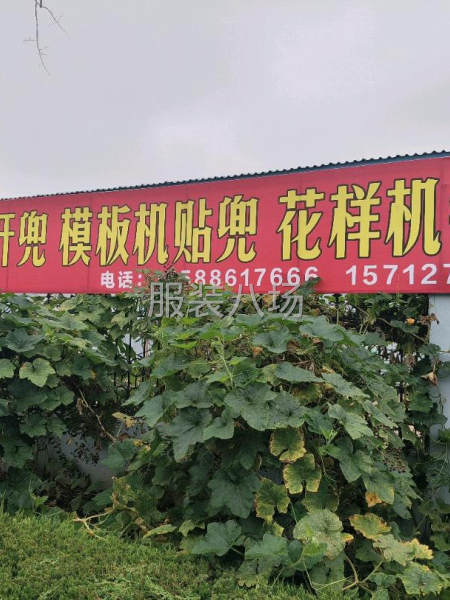 模板機(jī)貼兜   激光開兜  花樣機(jī)定標(biāo)-第6張圖片