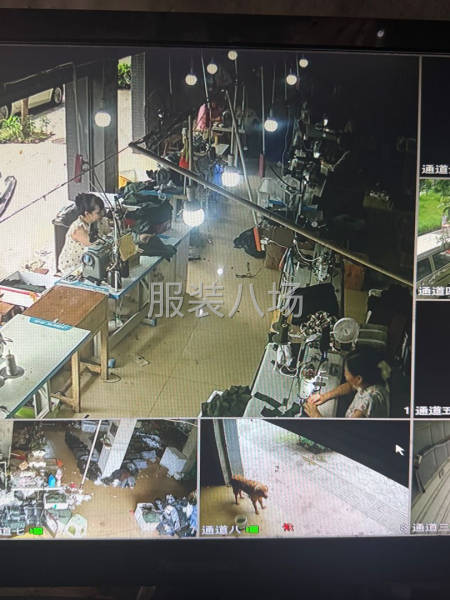 10-20人加工廠承接訂單-第1張圖片