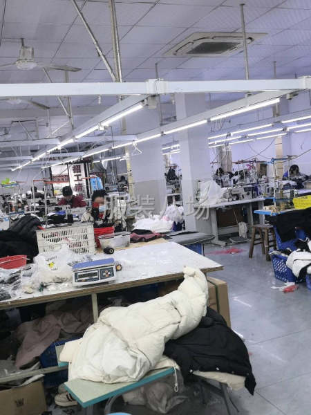 本厂接，市场，网店，直播，-第3张图片