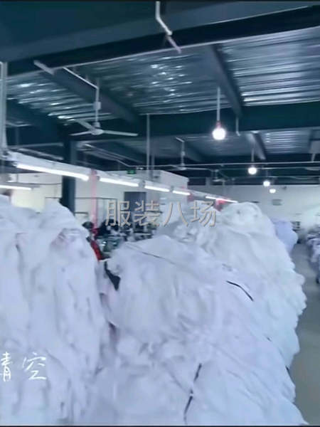 专业服装加工厂 承接各种针织单-第4张图片