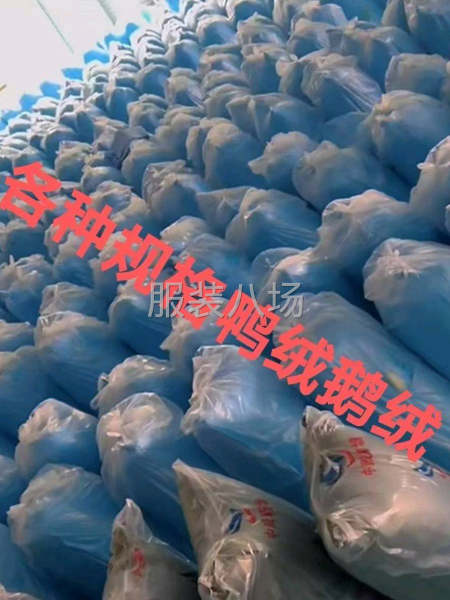 现货供应 50%   90%白鸭绒，白鹅绒。电商检，广检。-第1张图片