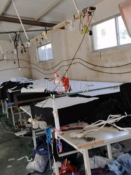 服装加工，裁，缝，包，一体。-第3张图片