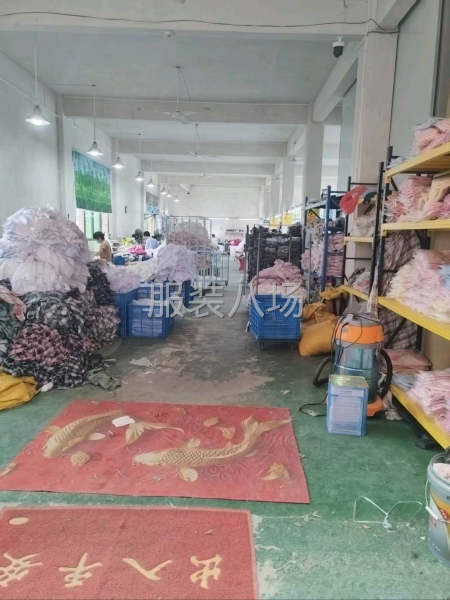 专业衬衣女装-第1张图片