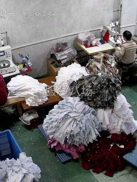 专业衬衣女装-第4张图片