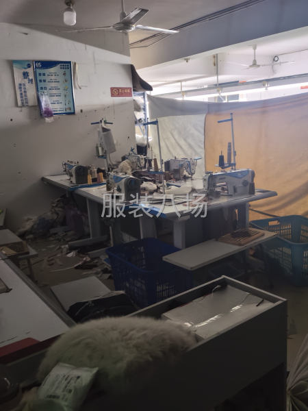 本场承接包裁包做，四号桥，新湖，-第2张图片