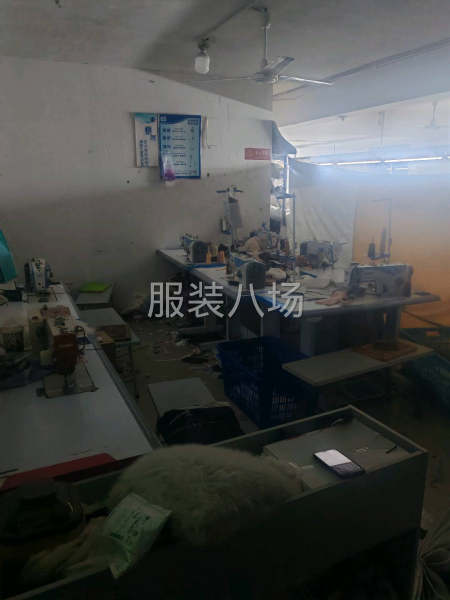 本厂承接包裁包做-第3张图片