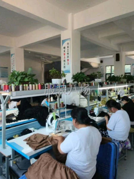 10-20人加工厂承接订单-第1张图片