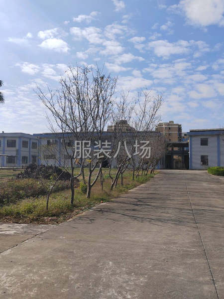 针织类 有版师 设计师-第2张图片