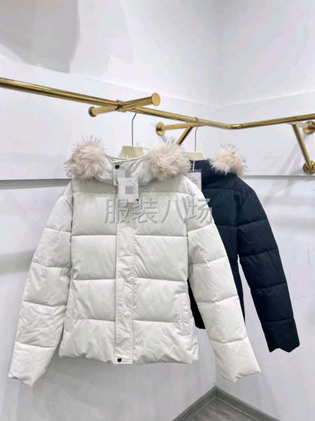 专业生产棉服，马甲，冲锋衣-第1张图片