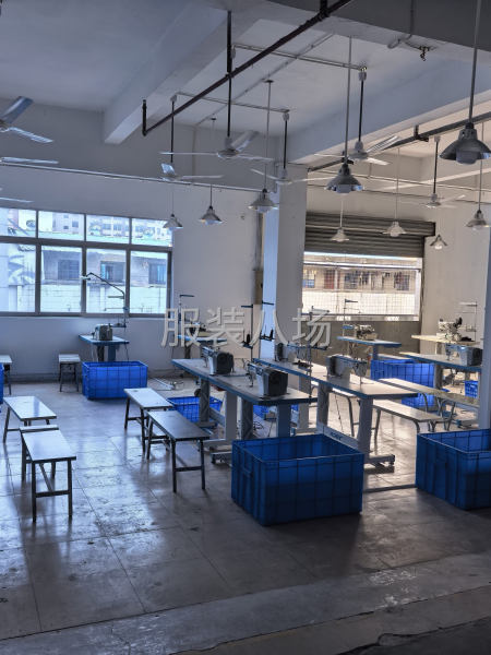 深圳单！货源稳定！款式简单-第2张图片