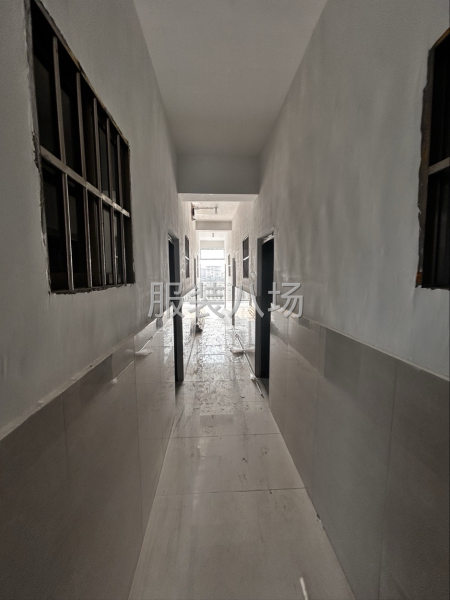 农村自建房首租-第4张图片