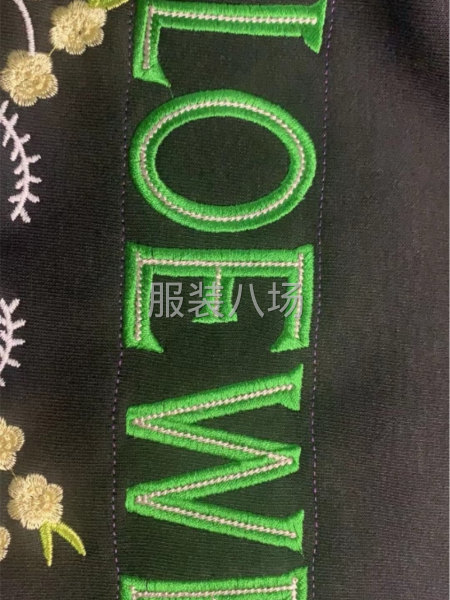 绵阳三台县青东坝绣花厂（田岛绣花机）-第7张图片