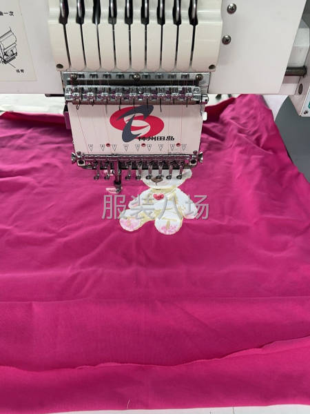 绵阳三台县青东坝绣花厂（田岛绣花机）-第4张图片