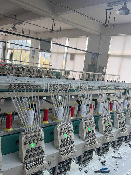 绵阳三台县青东坝绣花厂（田岛绣花机）-第1张图片