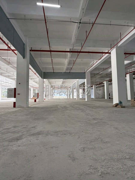 南村自建厂房部分招租：-第3张图片