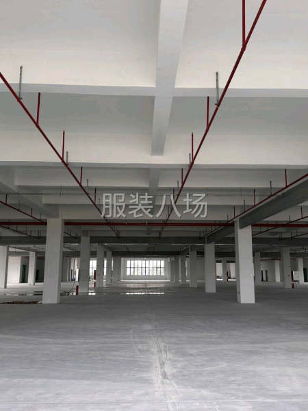 南村自建厂房部分招租：-第1张图片