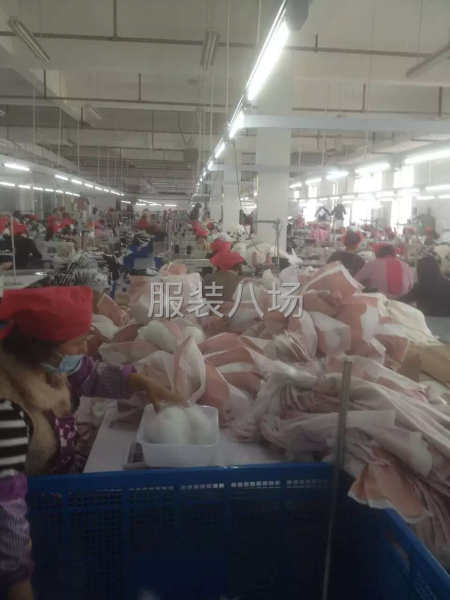 正在正常生产的服装厂转让-第3张图片