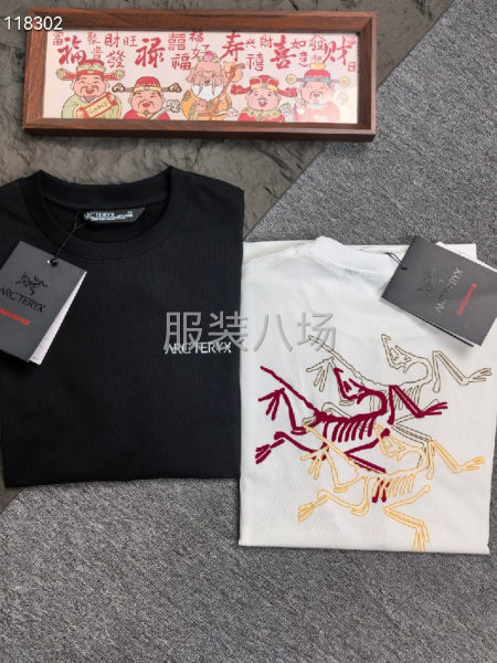 大牌始祖鸟圆领短袖T恤衫-第5张图片