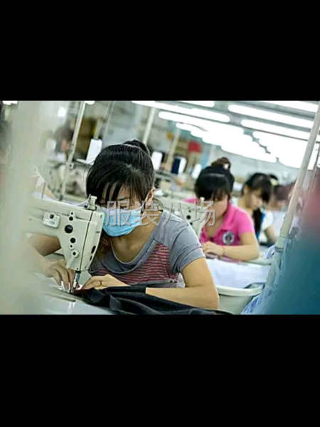 求职临时,经验10年-第1张图片