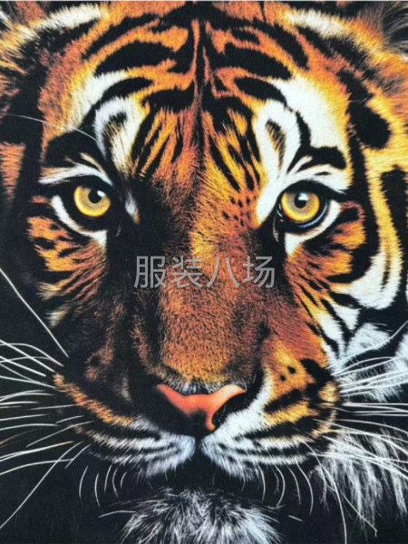 服裝白墨印花-第3張圖片