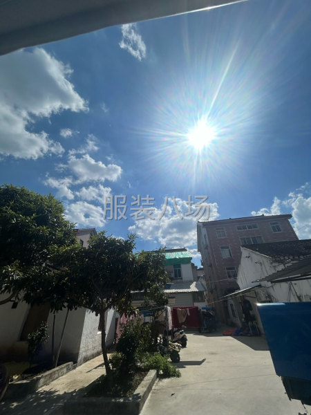 有沒有合租的-第1張圖片