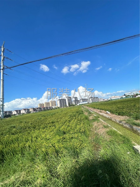 寻租一整层住房或者三间住房-第1张图片