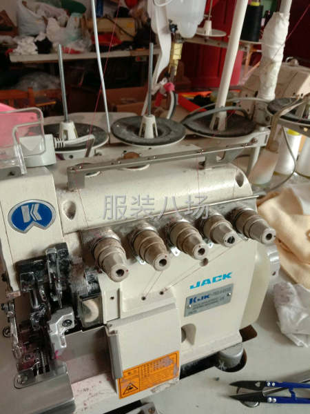 家庭团队组合-第2张图片