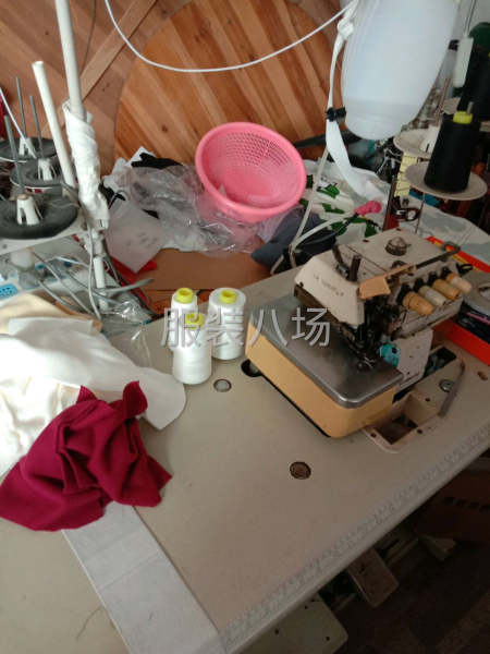 家庭团队组合-第4张图片