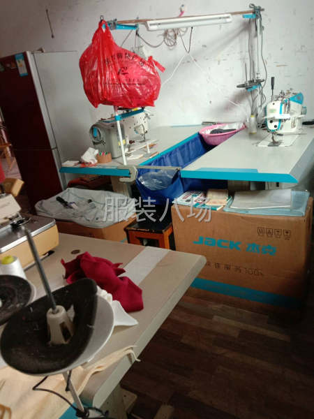 家庭团队组合-第3张图片