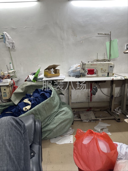 专业生产针织T恤 卫衣 卫裤 衬衫-第2张图片