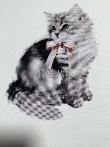 承接各种服装印花 白墨数码直喷印花-第8张图片