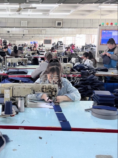 ¥25一个小时，管吃管住，做到2026年底-第1张图片