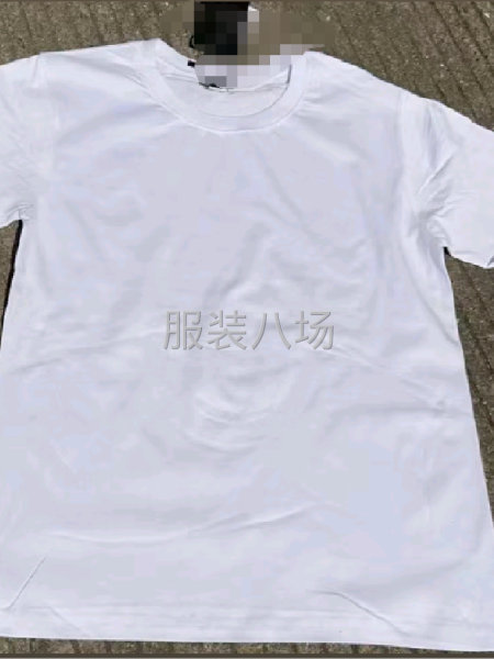 60万件250克光板白色T恤8元-第1张图片