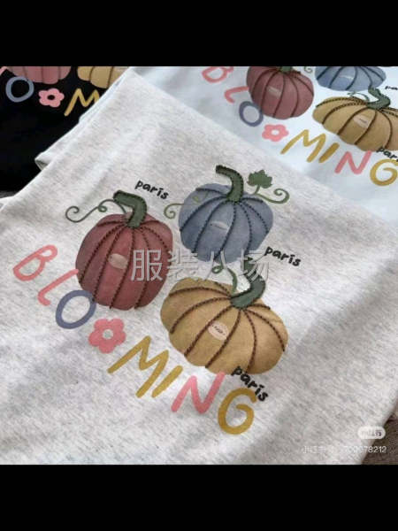 10-20人加工厂承接订单-第1张图片